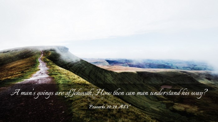 Picture 03 - Proverbs 20:24 ASV Desktop Wallpaper - A man's goings are of Jehovah; How then can man - Desktop Bible Verse Wallpaper