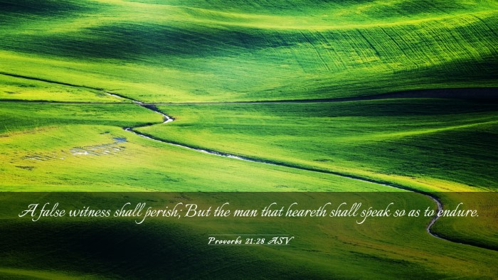 Picture 03 - Proverbs 21:28 ASV Desktop Wallpaper - A false witness shall perish; But the man that - Desktop Bible Verse Wallpaper