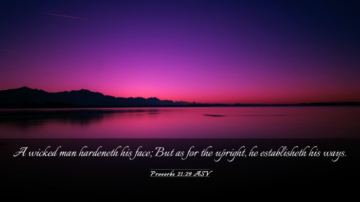 Picture 03 - Proverbs 21:29 ASV Desktop Wallpaper - A wicked man hardeneth his face; But as for the - Desktop Bible Verse Wallpaper