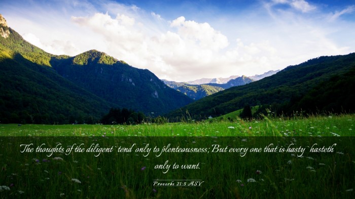 Picture 03 - Proverbs 21:5 ASV Desktop Wallpaper - The thoughts of the diligent `tend' only to - Desktop Bible Verse Wallpaper
