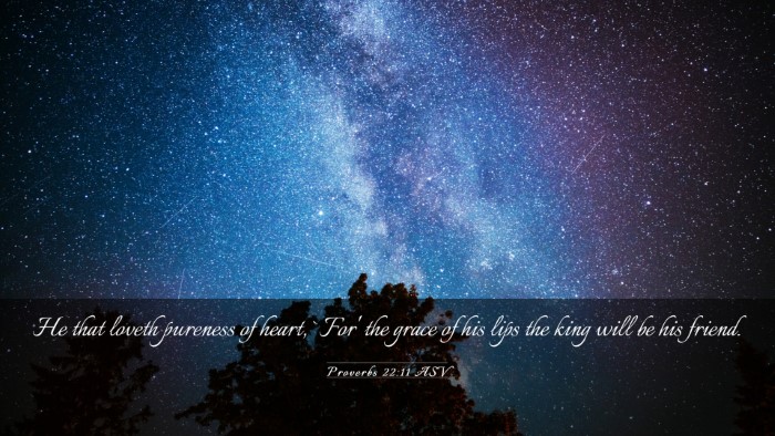Picture 03 - Proverbs 22:11 ASV Desktop Wallpaper - He that loveth pureness of heart, `For' the grace - Desktop Bible Verse Wallpaper