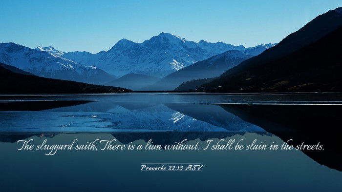 Picture 03 - Proverbs 22:13 ASV Desktop Wallpaper - The sluggard saith, There is a lion without: I - Desktop Bible Verse Wallpaper