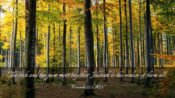 Picture 03 - Proverbs 22:2 ASV Desktop Wallpaper - The rich and the poor meet together: Jehovah is - Desktop Bible Verse Wallpaper