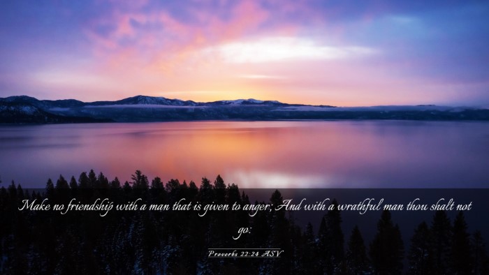 Picture 03 - Proverbs 22:24 ASV Desktop Wallpaper - Make no friendship with a man that is given to - Desktop Bible Verse Wallpaper