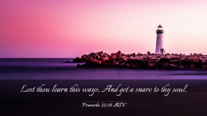 Picture 03 - Proverbs 22:25 ASV Desktop Wallpaper - Lest thou learn this ways, And get a snare to thy - Desktop Bible Verse Wallpaper