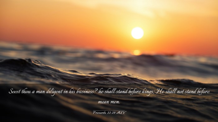Picture 03 - Proverbs 22:29 ASV Desktop Wallpaper - Seest thou a man diligent in his business? he - Desktop Bible Verse Wallpaper