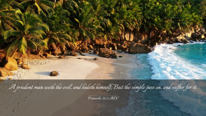 Picture 03 - Proverbs 22:3 ASV Desktop Wallpaper - A prudent man seeth the evil, and hideth himself; - Desktop Bible Verse Wallpaper