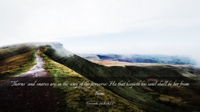 Picture 03 - Proverbs 22:5 ASV Desktop Wallpaper - Thorns `and' snares are in the way of the - Desktop Bible Verse Wallpaper