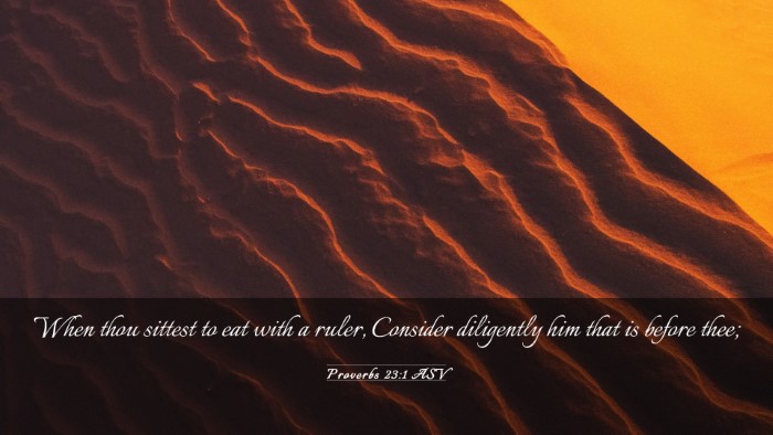 Picture 03 - Proverbs 23:1 ASV Desktop Wallpaper - When thou sittest to eat with a ruler, Consider - Desktop Bible Verse Wallpaper