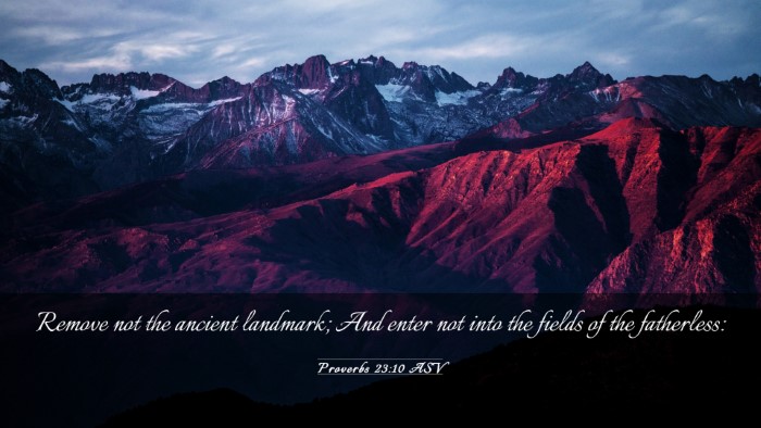 Picture 03 - Proverbs 23:10 ASV Desktop Wallpaper - Remove not the ancient landmark; And enter not - Desktop Bible Verse Wallpaper