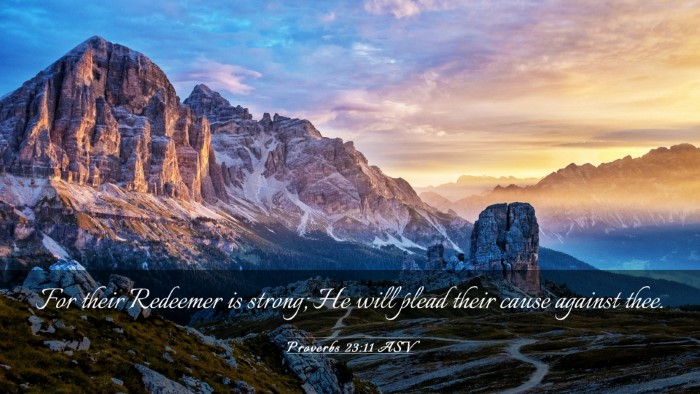 Picture 03 - Proverbs 23:11 ASV Desktop Wallpaper - For their Redeemer is strong; He will plead their - Desktop Bible Verse Wallpaper