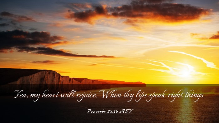 Picture 03 - Proverbs 23:16 ASV Desktop Wallpaper - Yea, my heart will rejoice, When thy lips speak - Desktop Bible Verse Wallpaper