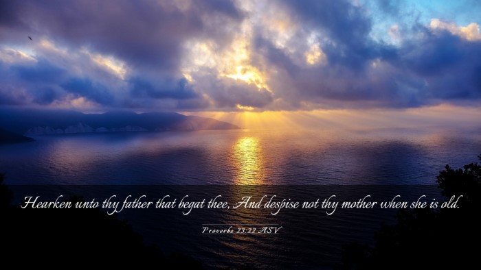 Picture 03 - Proverbs 23:22 ASV Desktop Wallpaper - Hearken unto thy father that begat thee, And - Desktop Bible Verse Wallpaper