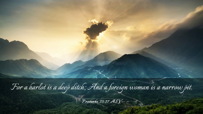 Picture 03 - Proverbs 23:27 ASV Desktop Wallpaper - For a harlot is a deep ditch; And a foreign woman - Desktop Bible Verse Wallpaper