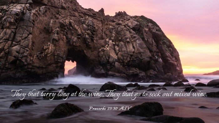 Picture 03 - Proverbs 23:30 ASV Desktop Wallpaper - They that tarry long at the wine; They that go to - Desktop Bible Verse Wallpaper