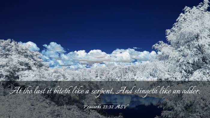 Picture 03 - Proverbs 23:32 ASV Desktop Wallpaper - At the last it biteth like a serpent, And - Desktop Bible Verse Wallpaper