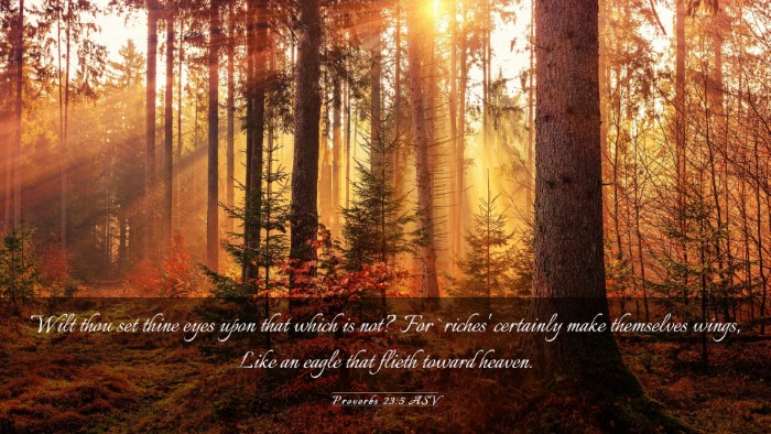 Picture 03 - Proverbs 23:5 ASV Desktop Wallpaper - Wilt thou set thine eyes upon that which is not? - Desktop Bible Verse Wallpaper