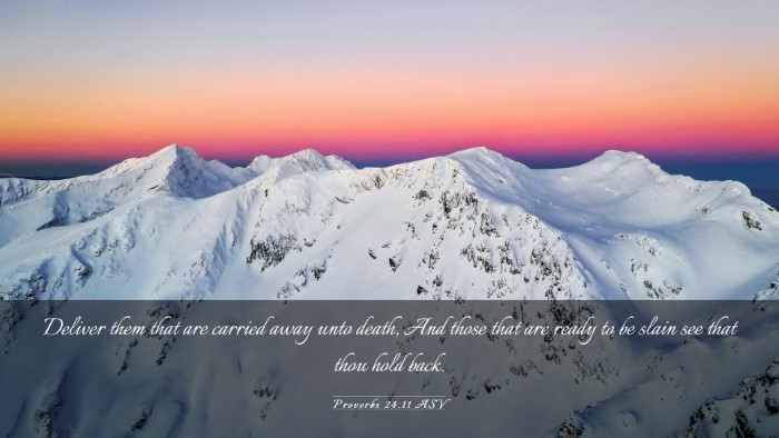 Picture 03 - Proverbs 24:11 ASV Desktop Wallpaper - Deliver them that are carried away unto death, - Desktop Bible Verse Wallpaper
