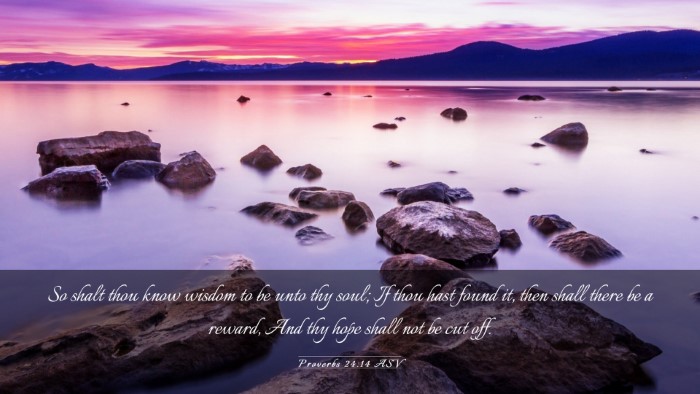 Picture 03 - Proverbs 24:14 ASV Desktop Wallpaper - So shalt thou know wisdom to be unto thy soul; If - Desktop Bible Verse Wallpaper