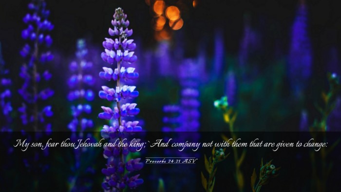 Picture 03 - Proverbs 24:21 ASV Desktop Wallpaper - My son, fear thou Jehovah and the king; `And' - Desktop Bible Verse Wallpaper