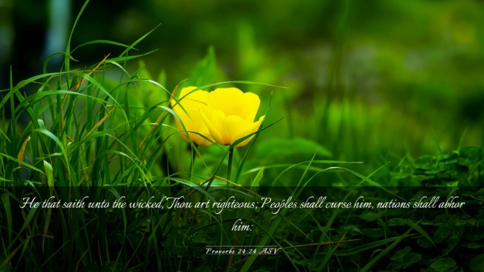 Picture 03 - Proverbs 24:24 ASV Desktop Wallpaper - He that saith unto the wicked, Thou art - Desktop Bible Verse Wallpaper