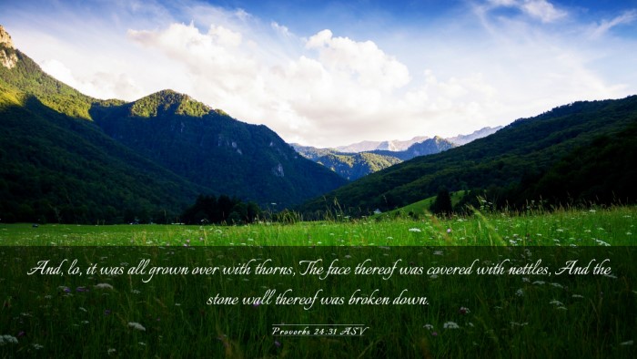 Picture 03 - Proverbs 24:31 ASV Desktop Wallpaper - And, lo, it was all grown over with thorns, The - Desktop Bible Verse Wallpaper