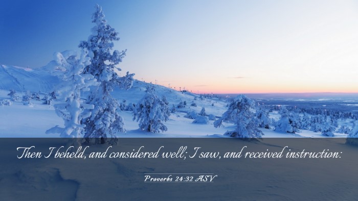 Picture 03 - Proverbs 24:32 ASV Desktop Wallpaper - Then I beheld, and considered well; I saw, and - Desktop Bible Verse Wallpaper