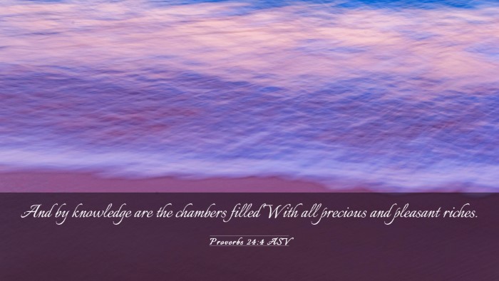 Picture 03 - Proverbs 24:4 ASV Desktop Wallpaper - And by knowledge are the chambers filled With all - Desktop Bible Verse Wallpaper