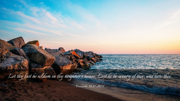 Picture 03 - Proverbs 25:17 ASV Desktop Wallpaper - Let thy foot be seldom in thy neighbor's house, - Desktop Bible Verse Wallpaper