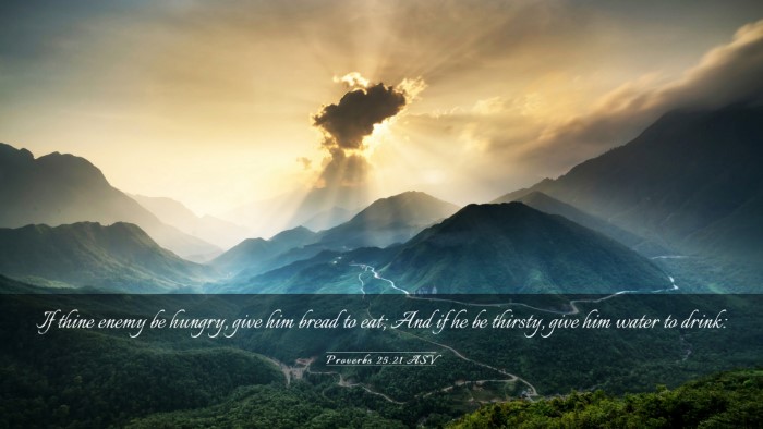 Picture 03 - Proverbs 25:21 ASV Desktop Wallpaper - If thine enemy be hungry, give him bread to eat; - Desktop Bible Verse Wallpaper