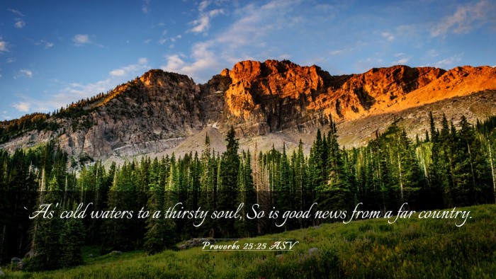 Picture 03 - Proverbs 25:25 ASV Desktop Wallpaper - `As' cold waters to a thirsty soul, So is good - Desktop Bible Verse Wallpaper