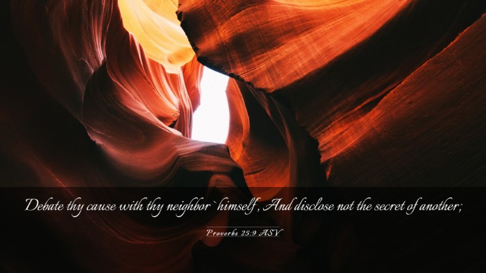 Picture 03 - Proverbs 25:9 ASV Desktop Wallpaper - Debate thy cause with thy neighbor `himself', And - Desktop Bible Verse Wallpaper