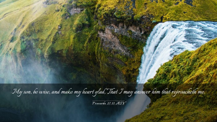 Picture 03 - Proverbs 27:11 ASV Desktop Wallpaper - My son, be wise, and make my heart glad, That I - Desktop Bible Verse Wallpaper