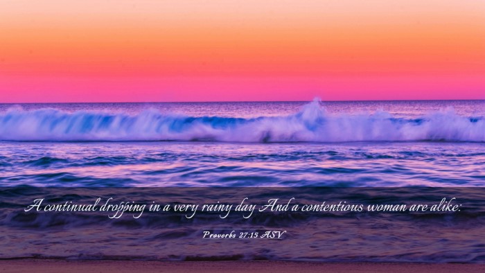 Picture 03 - Proverbs 27:15 ASV Desktop Wallpaper - A continual dropping in a very rainy day And a - Desktop Bible Verse Wallpaper