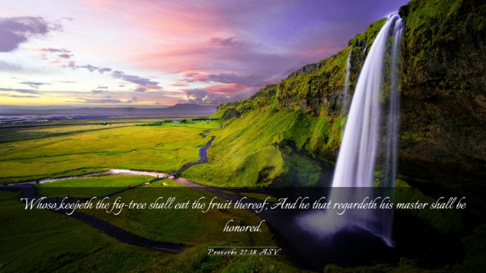 Picture 03 - Proverbs 27:18 ASV Desktop Wallpaper - Whoso keepeth the fig-tree shall eat the fruit - Desktop Bible Verse Wallpaper
