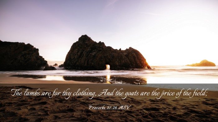 Picture 03 - Proverbs 27:26 ASV Desktop Wallpaper - The lambs are for thy clothing, And the goats are - Desktop Bible Verse Wallpaper