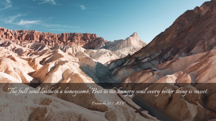 Picture 03 - Proverbs 27:7 ASV Desktop Wallpaper - The full soul loatheth a honeycomb; But to the - Desktop Bible Verse Wallpaper