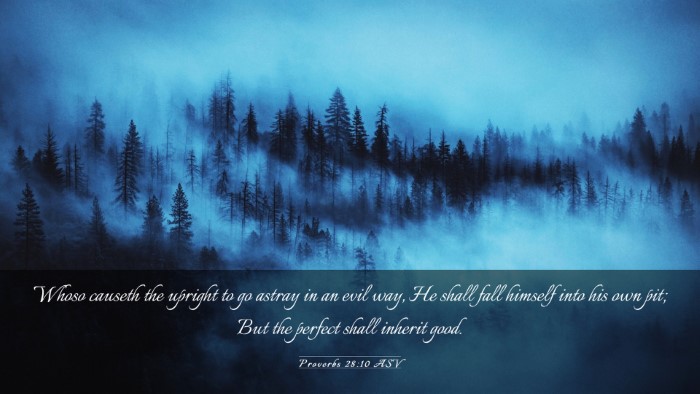 Picture 03 - Proverbs 28:10 ASV Desktop Wallpaper - Whoso causeth the upright to go astray in an evil - Desktop Bible Verse Wallpaper