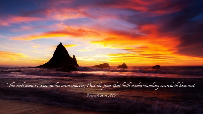 Picture 03 - Proverbs 28:11 ASV Desktop Wallpaper - The rich man is wise in his own conceit; But the - Desktop Bible Verse Wallpaper