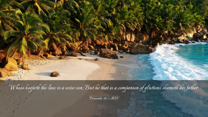 Picture 03 - Proverbs 28:7 ASV Desktop Wallpaper - Whoso keepeth the law is a wise son; But he that - Desktop Bible Verse Wallpaper