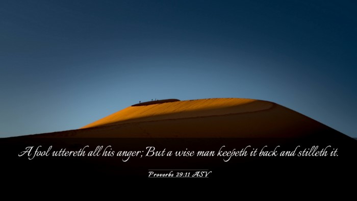 Picture 03 - Proverbs 29:11 ASV Desktop Wallpaper - A fool uttereth all his anger; But a wise man - Desktop Bible Verse Wallpaper