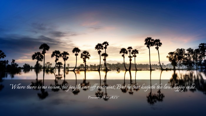 Picture 03 - Proverbs 29:18 ASV Desktop Wallpaper - Where there is no vision, the people cast off - Desktop Bible Verse Wallpaper