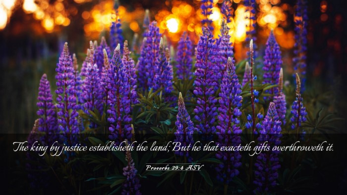 Picture 03 - Proverbs 29:4 ASV Desktop Wallpaper - The king by justice establisheth the land; But he - Desktop Bible Verse Wallpaper