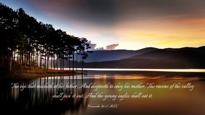 Picture 03 - Proverbs 30:17 ASV Desktop Wallpaper - The eye that mocketh at his father, And despiseth - Desktop Bible Verse Wallpaper