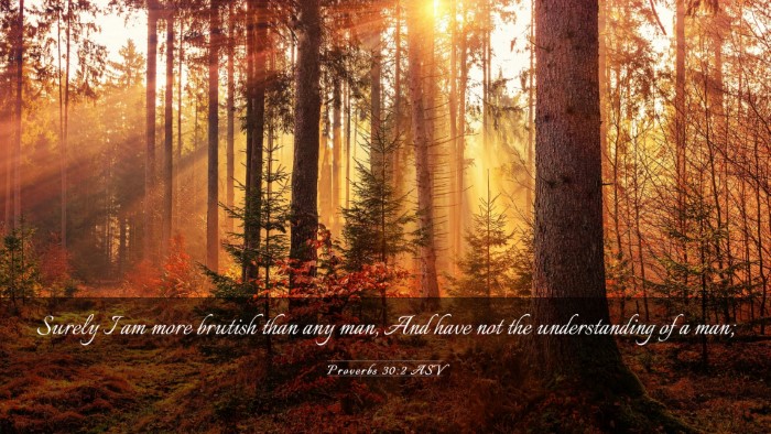 Picture 03 - Proverbs 30:2 ASV Desktop Wallpaper - Surely I am more brutish than any man, And have - Desktop Bible Verse Wallpaper