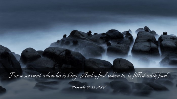 Picture 03 - Proverbs 30:22 ASV Desktop Wallpaper - For a servant when he is king; And a fool when he - Desktop Bible Verse Wallpaper