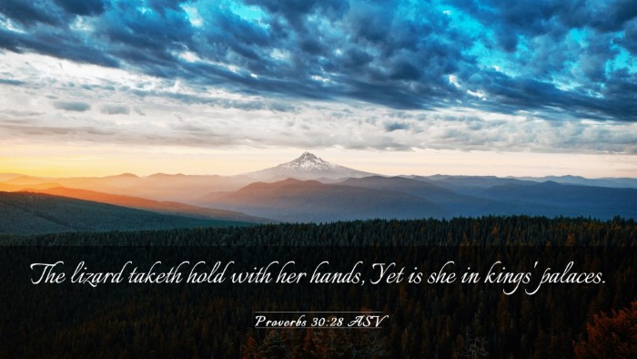 Picture 03 - Proverbs 30:28 ASV Desktop Wallpaper - The lizard taketh hold with her hands, Yet is she - Desktop Bible Verse Wallpaper