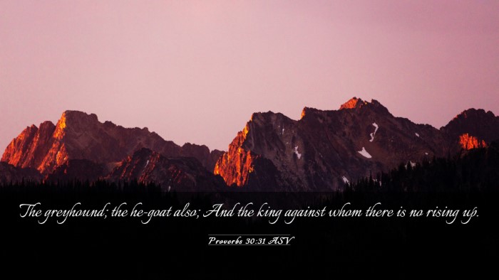 Picture 03 - Proverbs 30:31 ASV Desktop Wallpaper - The greyhound; the he-goat also; And the king - Desktop Bible Verse Wallpaper