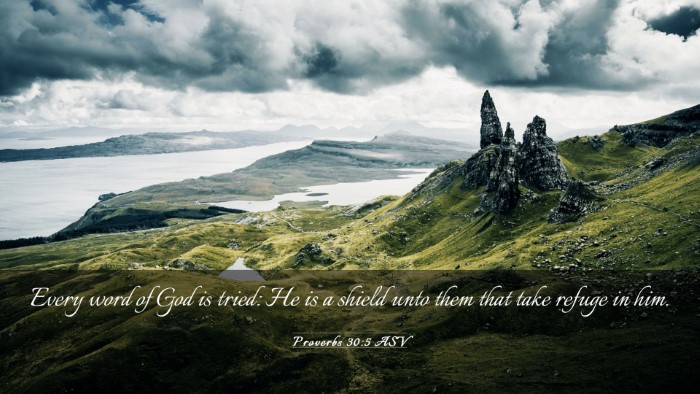 Picture 03 - Proverbs 30:5 ASV Desktop Wallpaper - Every word of God is tried: He is a shield unto - Desktop Bible Verse Wallpaper