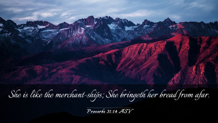 Picture 03 - Proverbs 31:14 ASV Desktop Wallpaper - She is like the merchant-ships; She bringeth her - Desktop Bible Verse Wallpaper